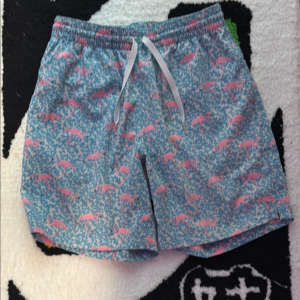 Blue and Pink Dinosaur Print Shorts